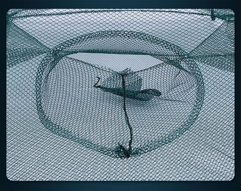 PuDong 2 Pack Crawfish Trapï¼ŒCrab Fish Trap,Foldable Fishing Bait Trap Cast Net Cage with 18 Feets Nylon Rope for Catching Small Bait Fish Eels Crab Lobster Minnows Shrimp 2 Pack - Image 4